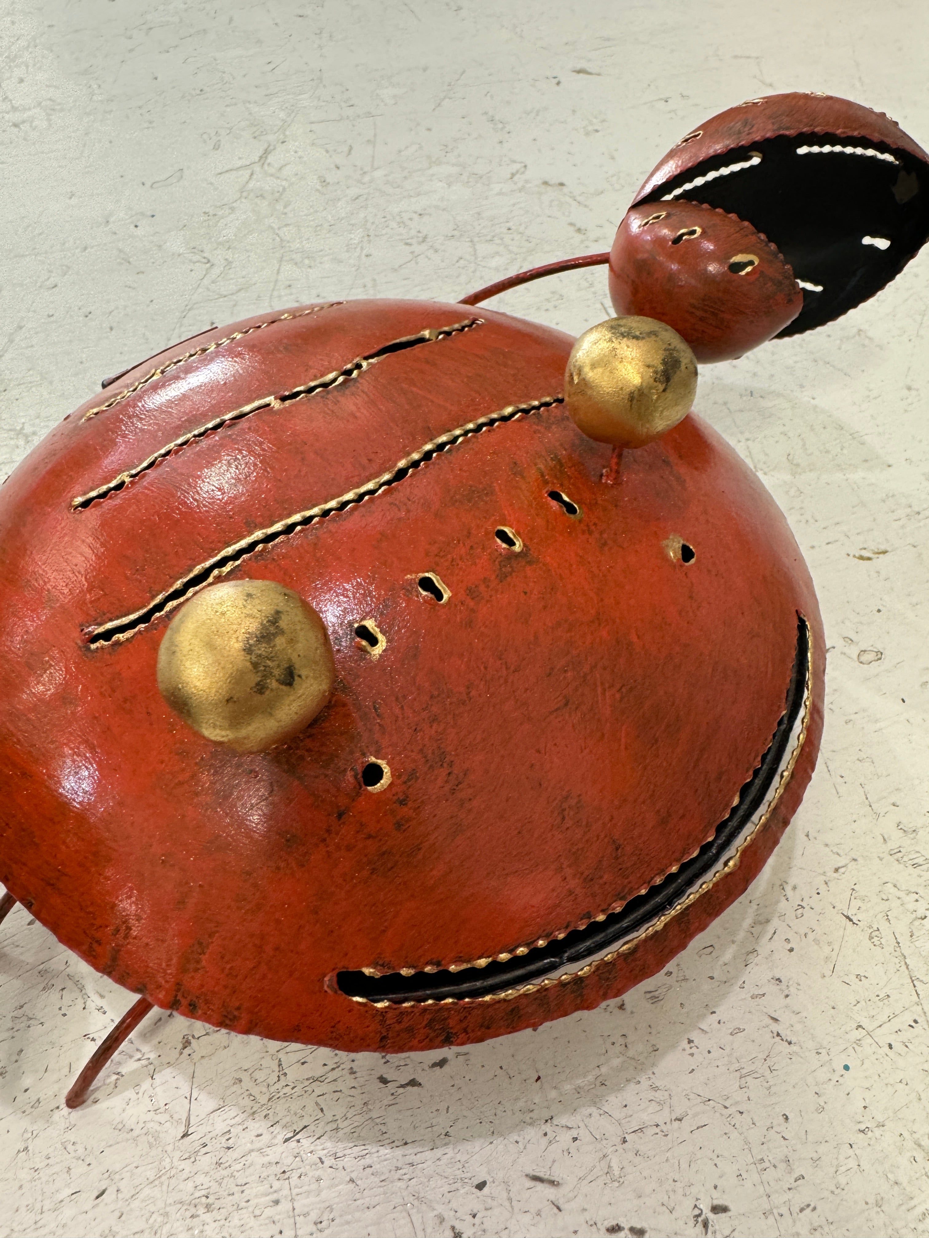 portazampirone granchio arancione