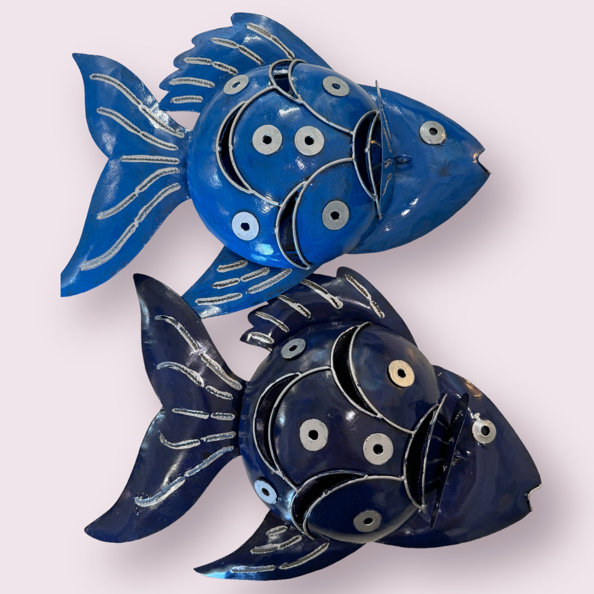 portazampirone pesce