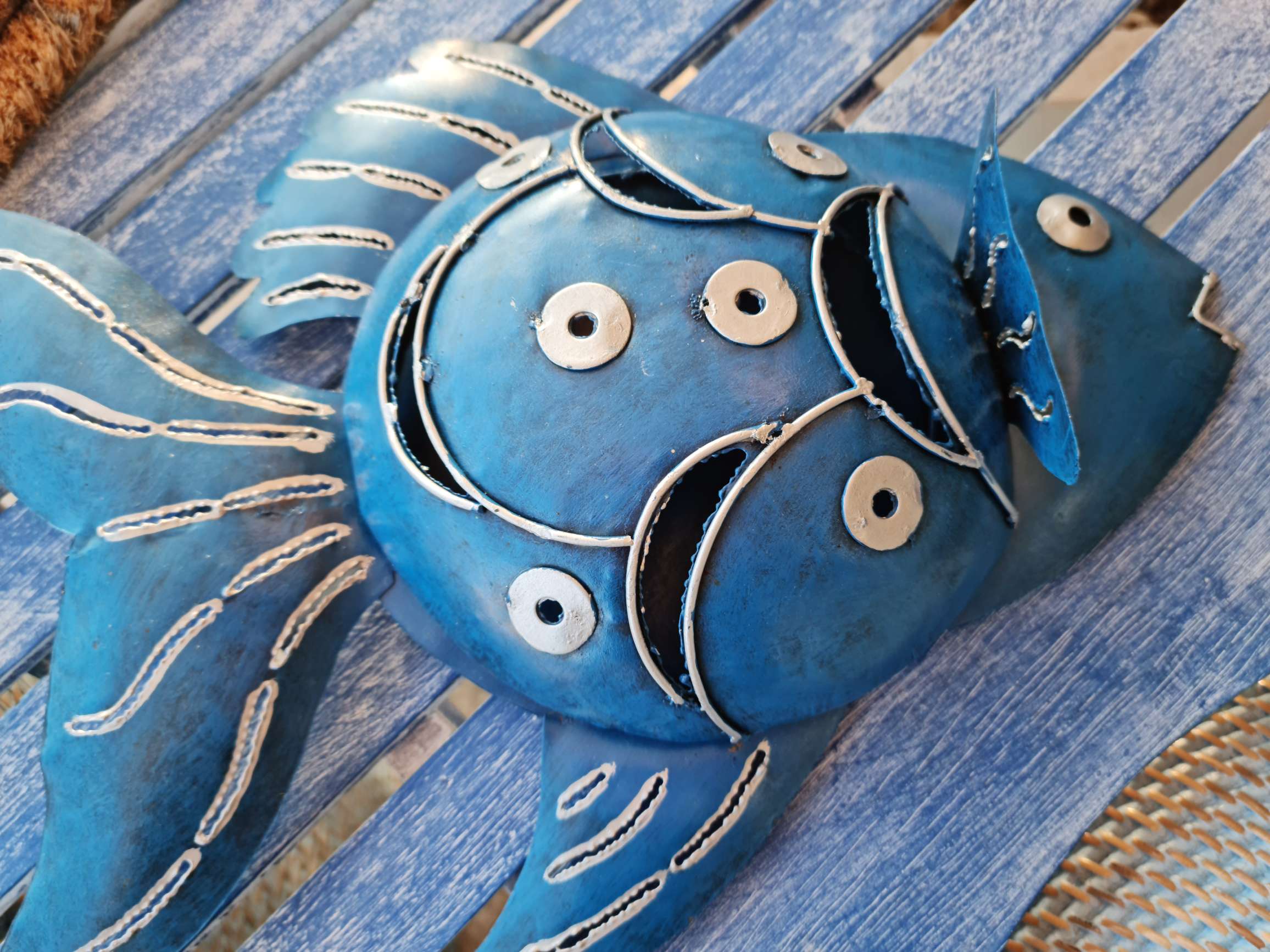 portazampirone pesce
