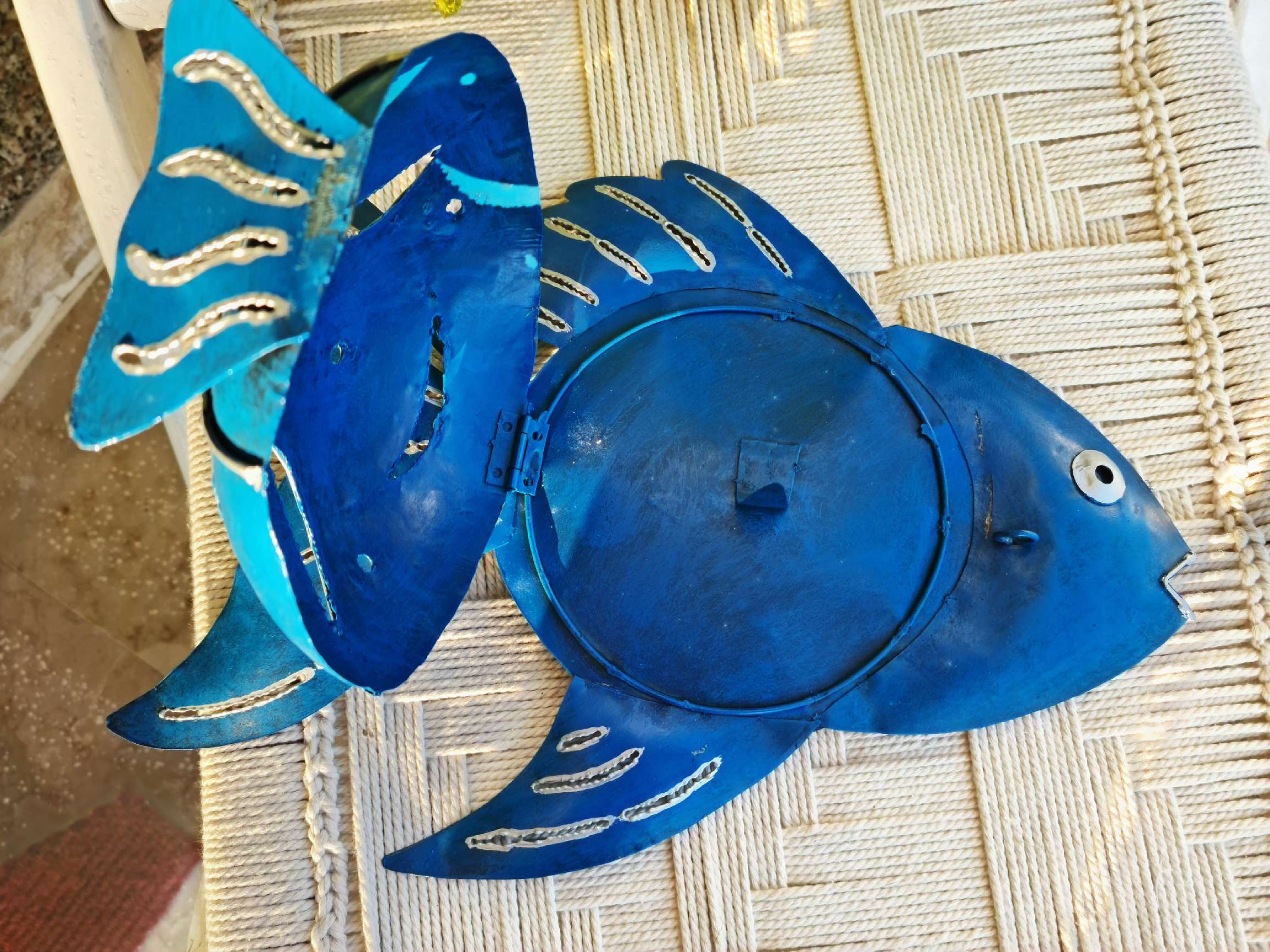 portazampirone pesce