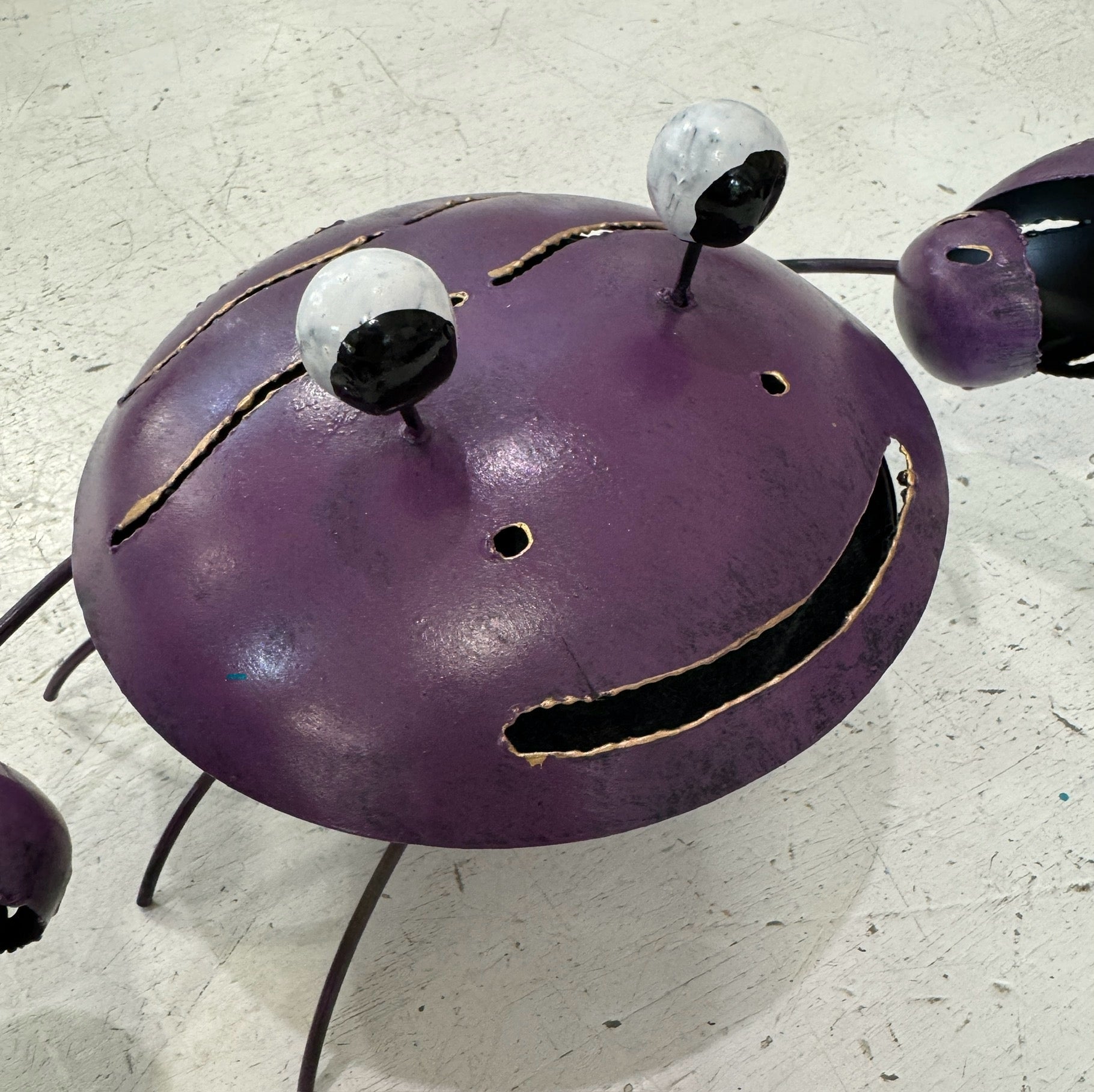 portazampirone granchio violetto