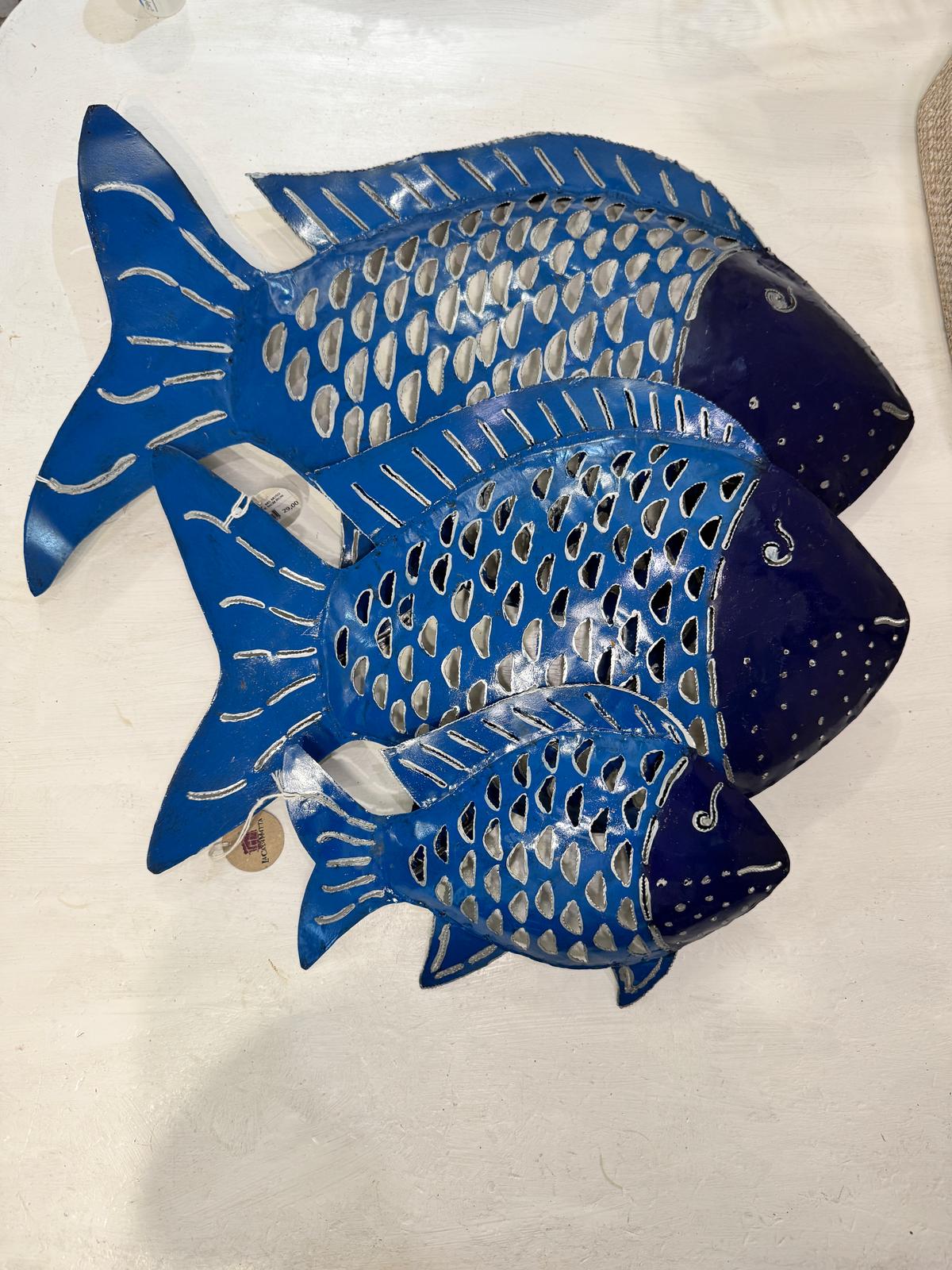 PESCE FERRO MUSO BIANCO CORPO BLU