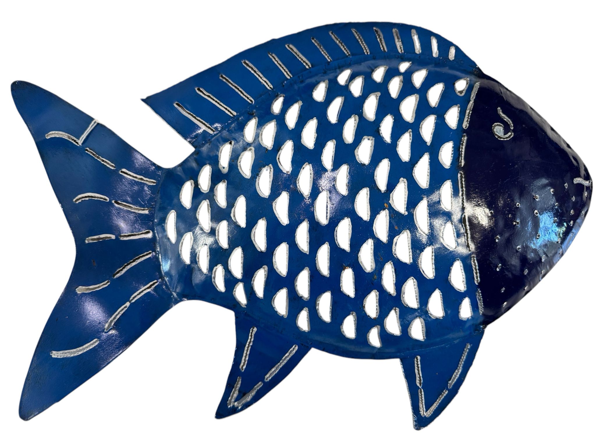 PESCE FERRO MUSO BIANCO CORPO BLU