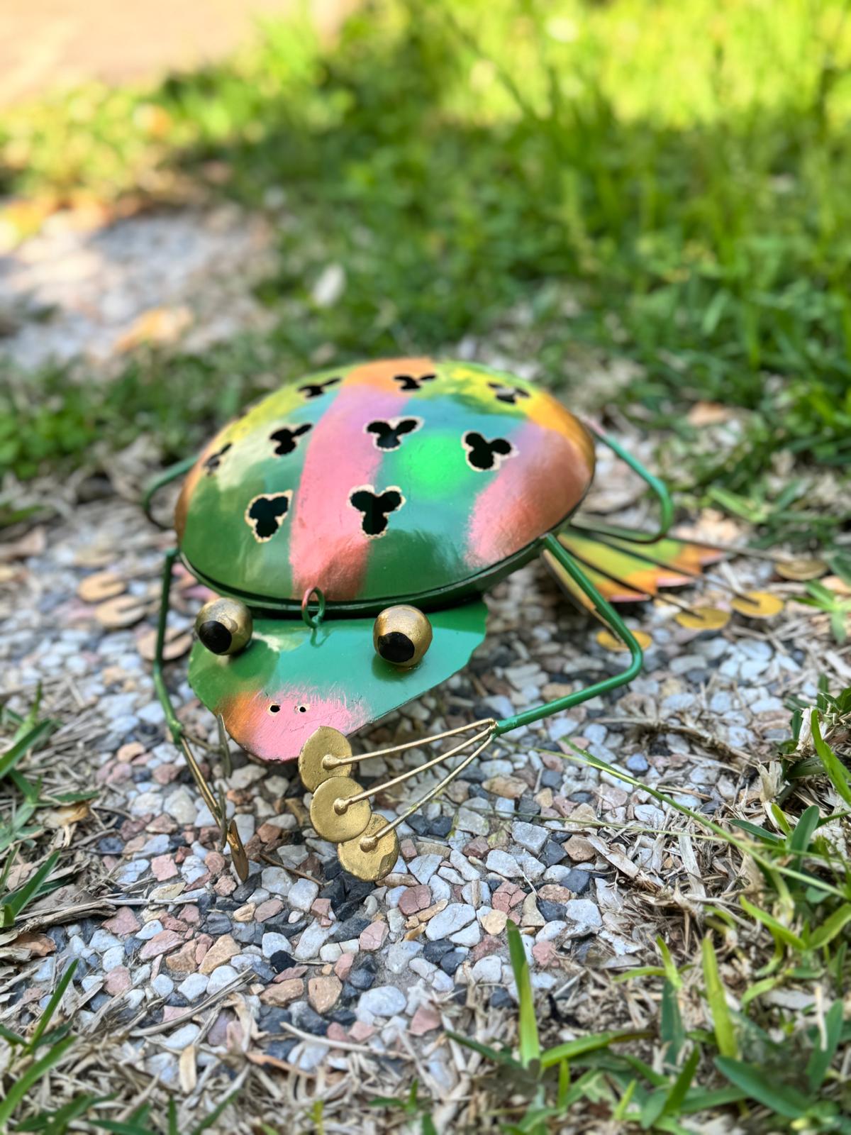 portazampirone rana