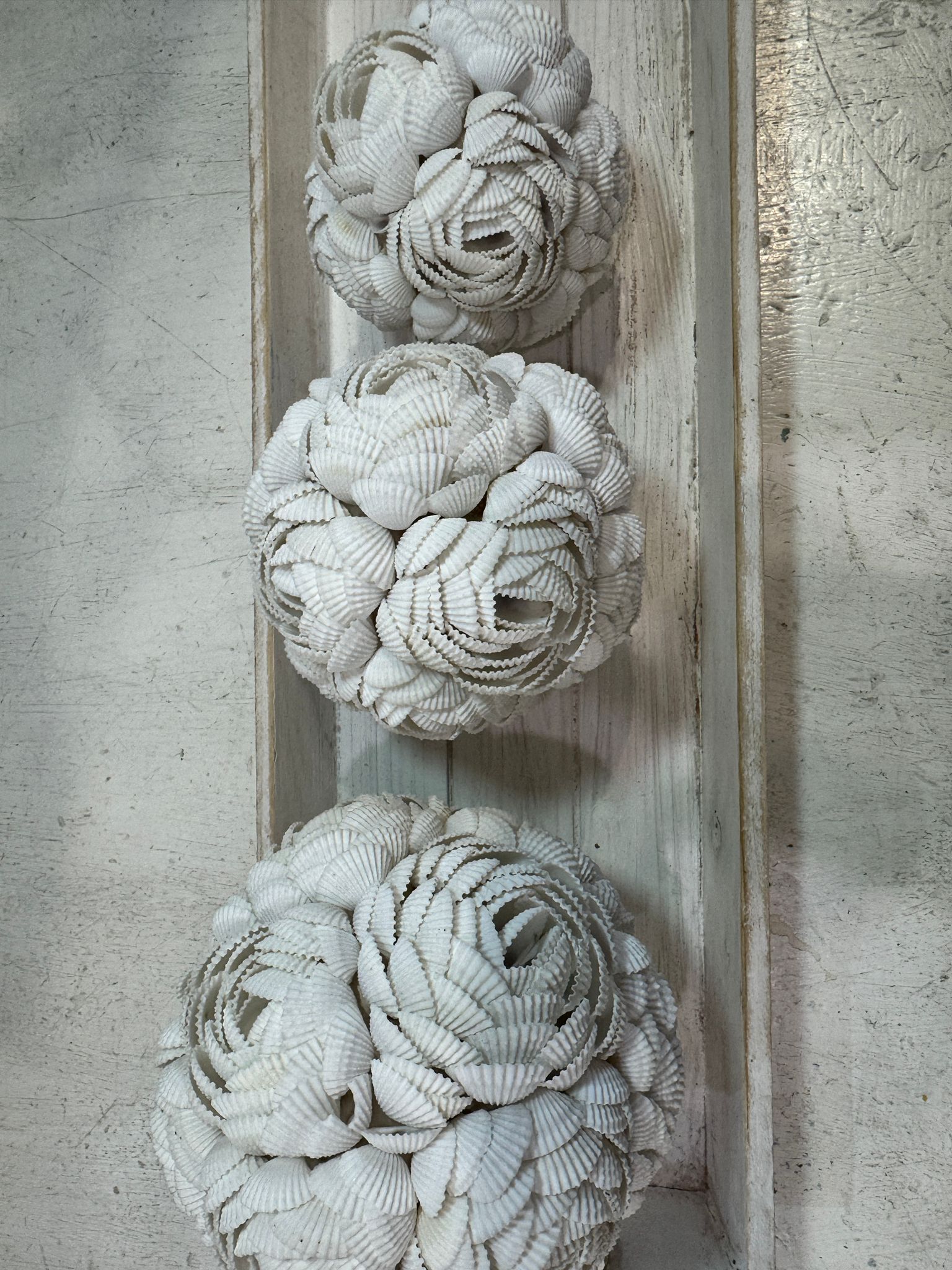SFERE DI CONCHIGLIE