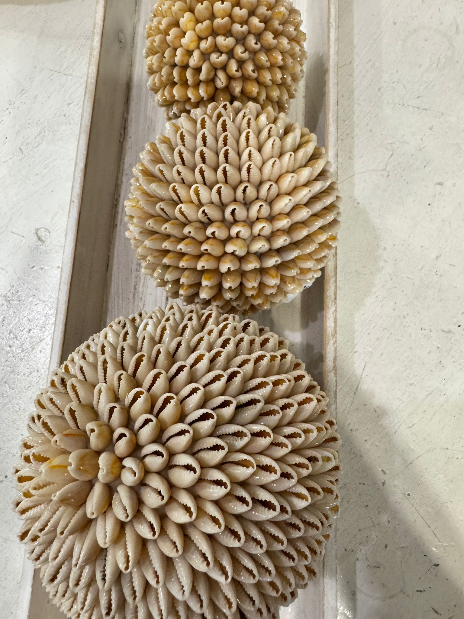 SFERE DI CONCHIGLIE