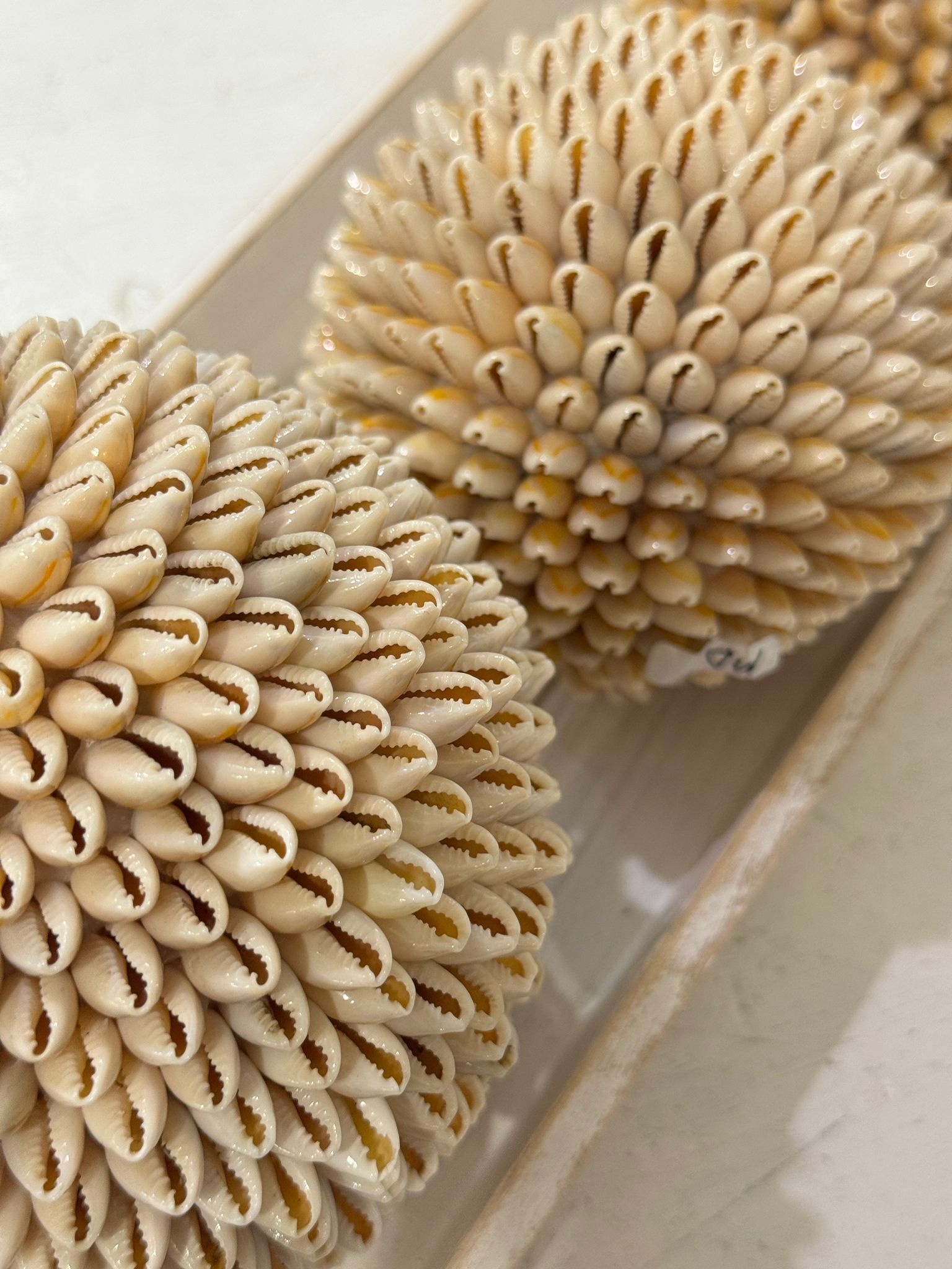 SFERE DI CONCHIGLIE