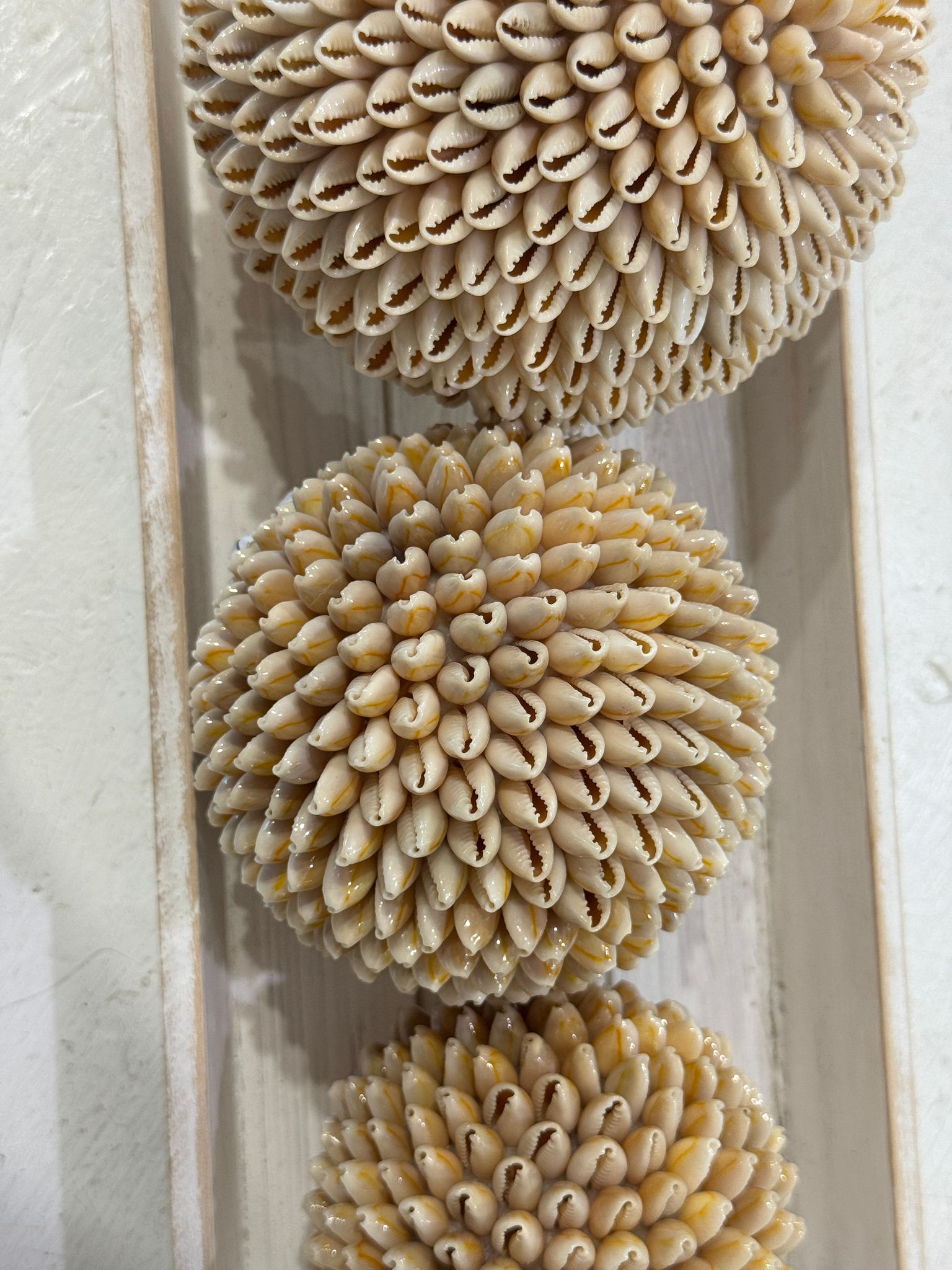 SFERE DI CONCHIGLIE