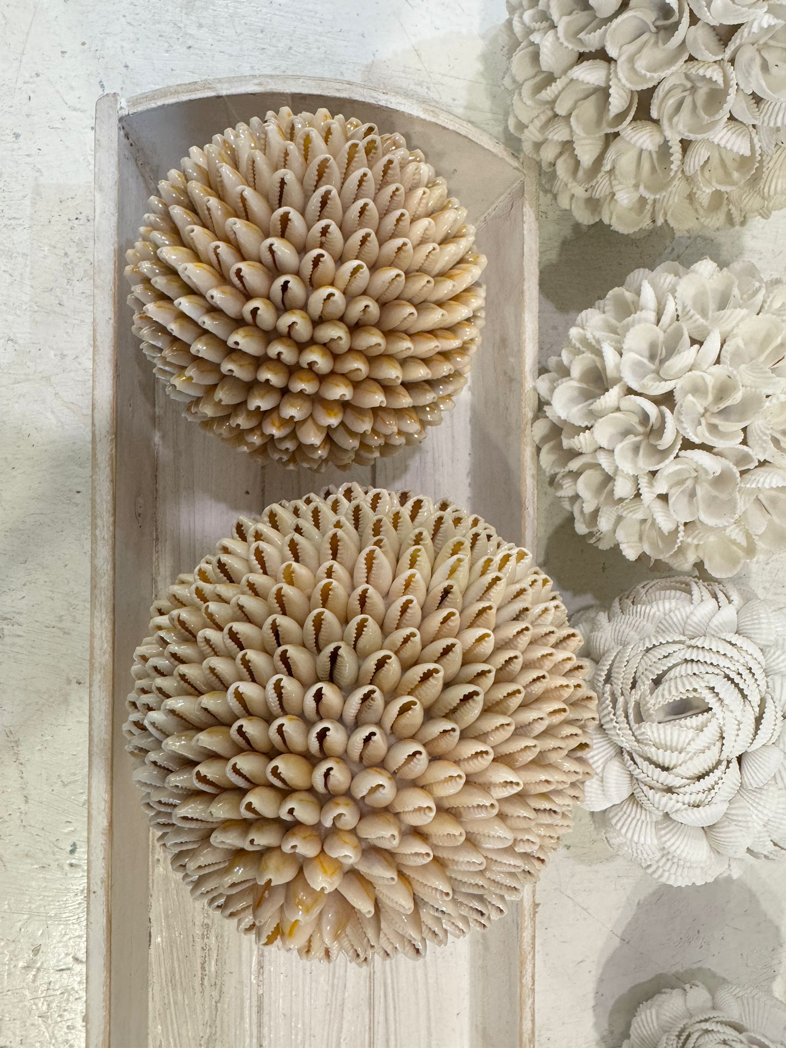 SFERE DI CONCHIGLIE