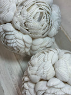 SFERE DI CONCHIGLIE