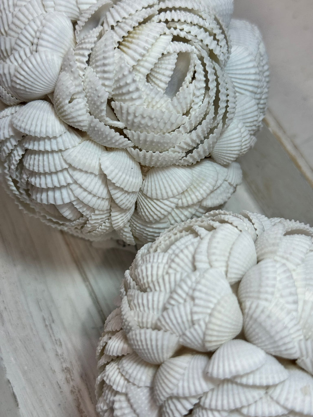 SFERE DI CONCHIGLIE