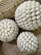 SFERE DI CONCHIGLIE