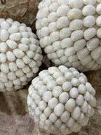 SFERE DI CONCHIGLIE