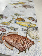 RUNNER REEF