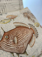 CUSCINO REEF