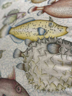 CUSCINO REEF