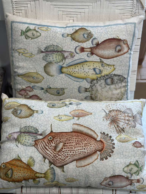 CUSCINO REEF