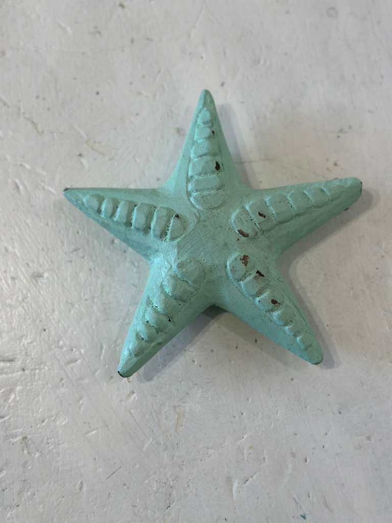 STELLE MARINE LEGNO DA APPENDERE SCONTO 20%