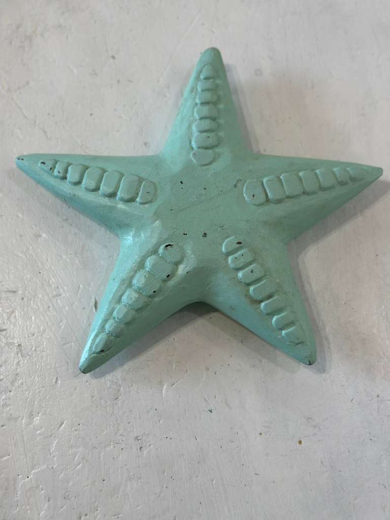 STELLE MARINE LEGNO DA APPENDERE SCONTO 20%