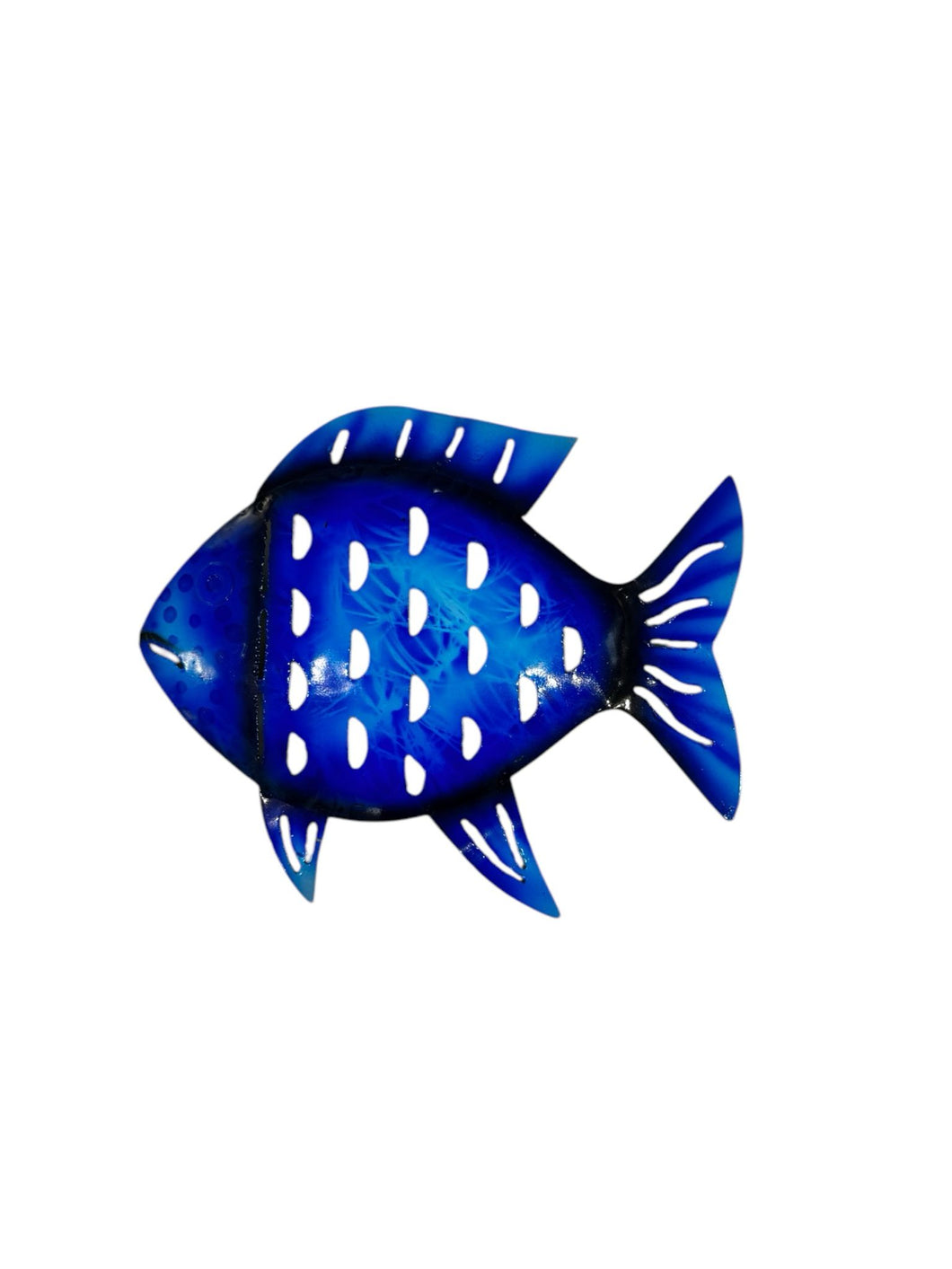 PESCE FERRO LUCIDO AZZURRO BLU SFUMATO