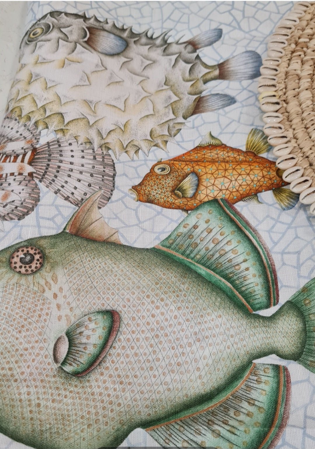 TOVAGLIA REEF