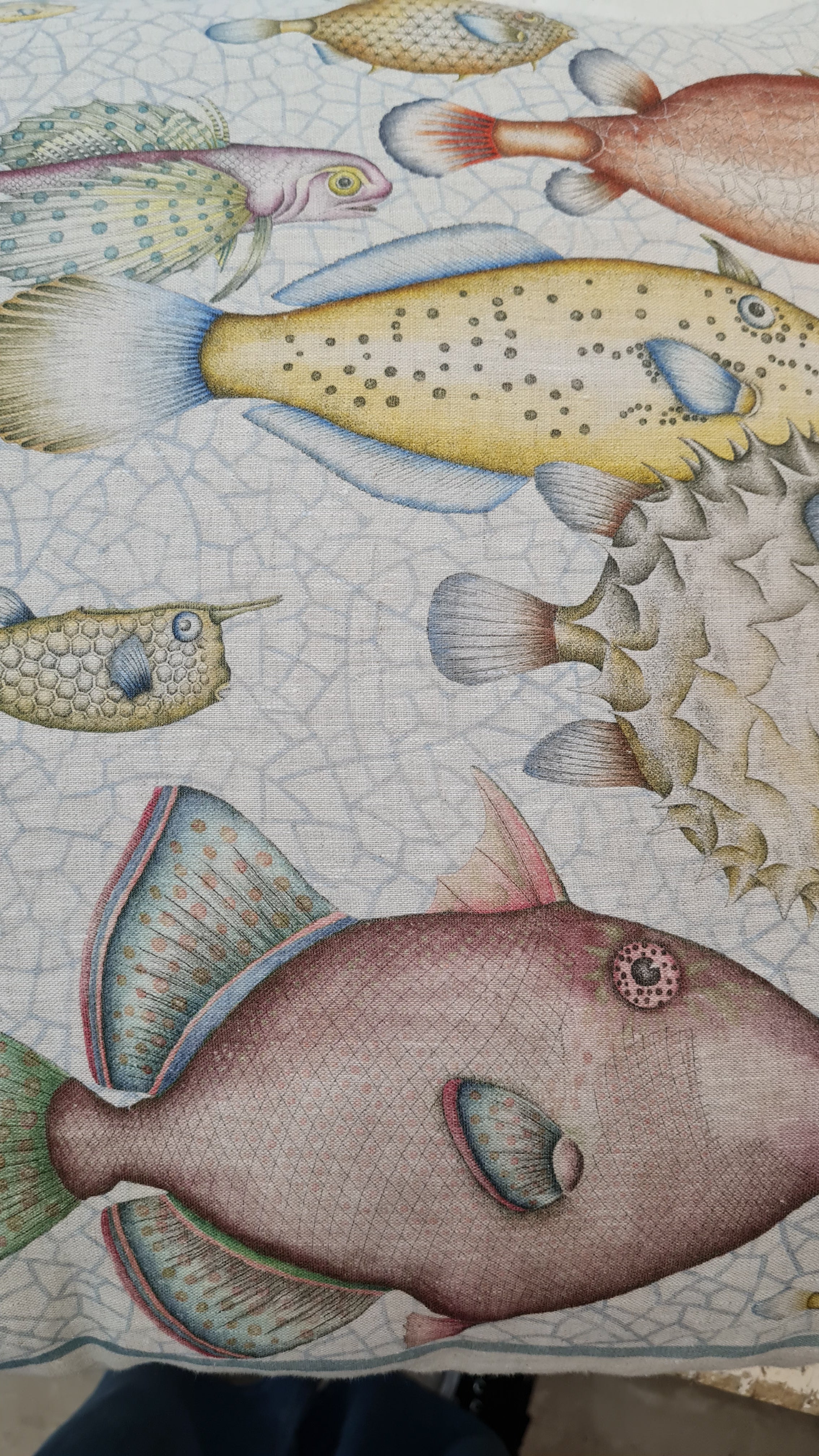 TOVAGLIA REEF