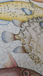 TOVAGLIA REEF
