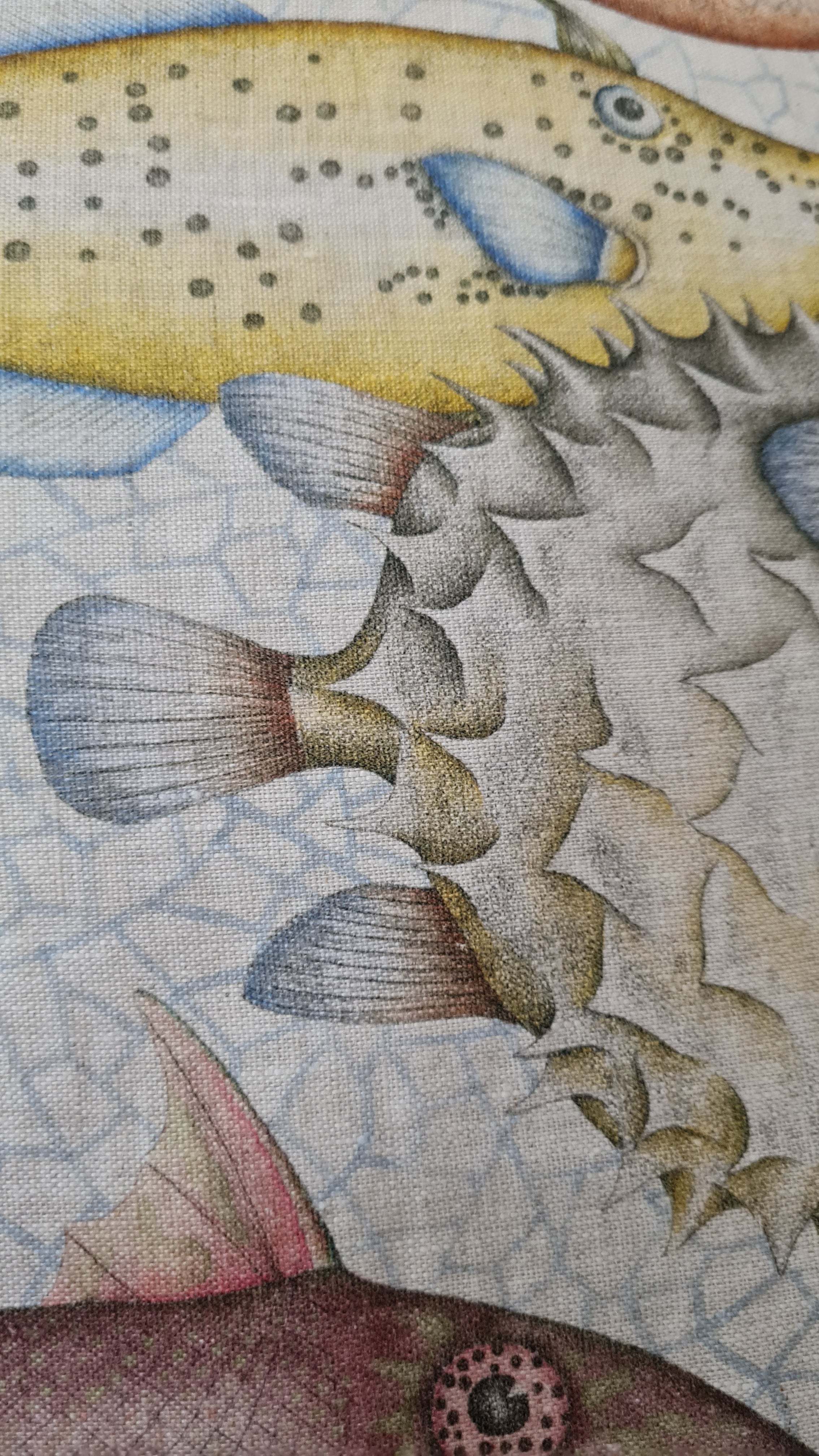 TOVAGLIA REEF