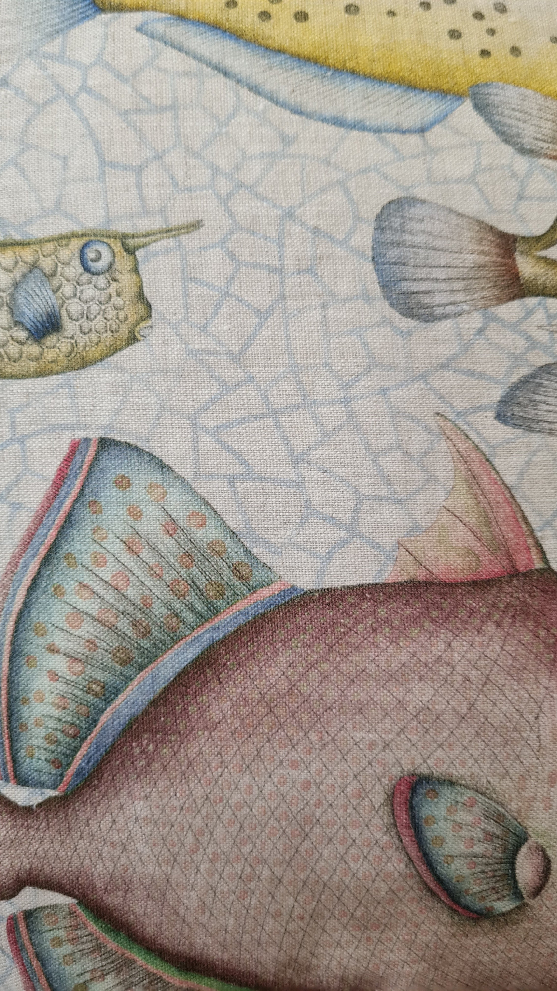 TOVAGLIA REEF