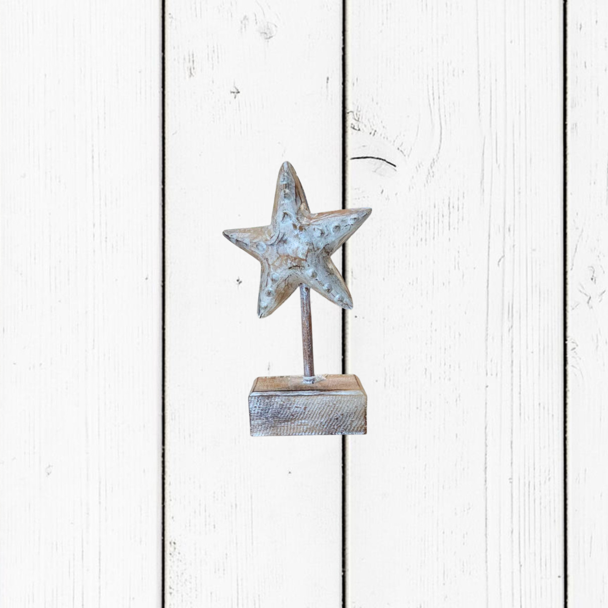 Stella Marina Piccola su Base in Legno Bianca