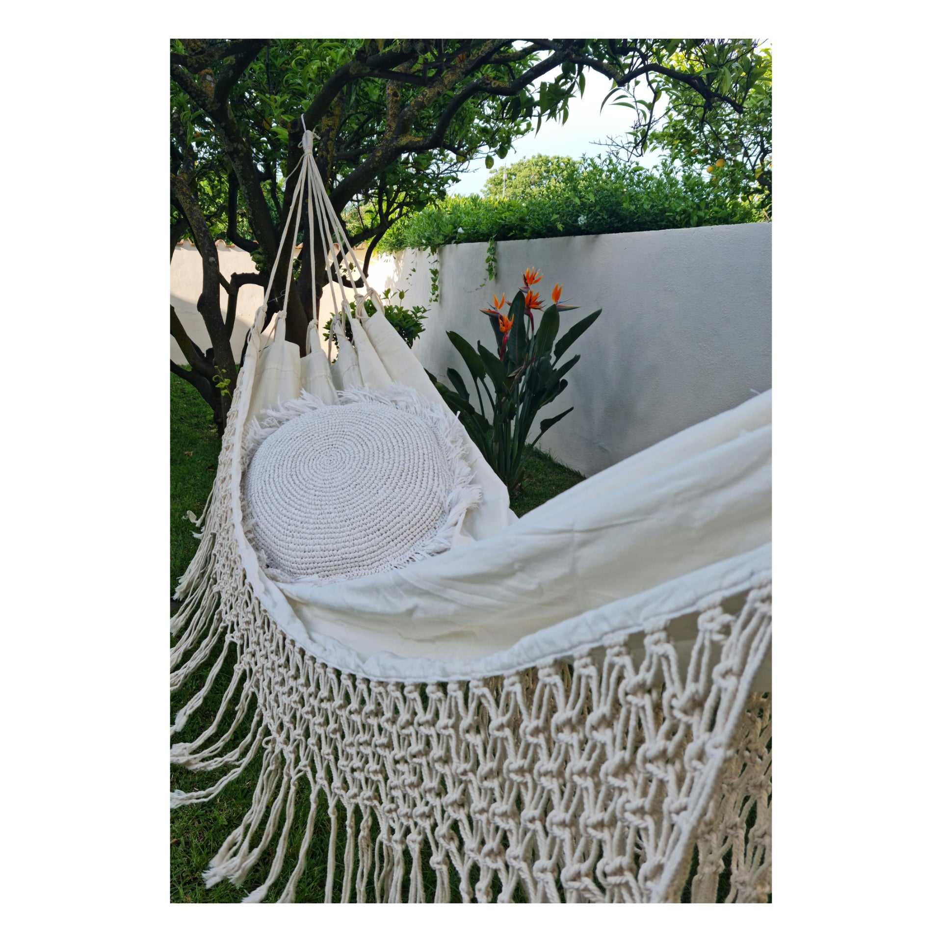 AMACA COTONE FRANGE